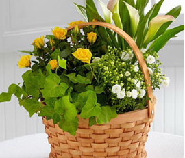 FM032_plant basket from $69.99 M:$89.99 L:109.99